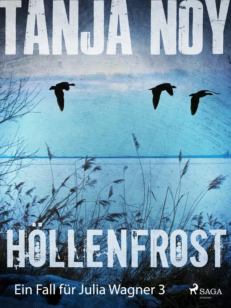 Höllenfrost af Tanja Noy