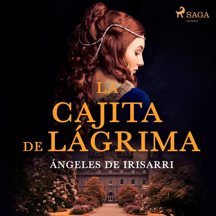 La cajita de lágrima af Ángeles de Irisarri