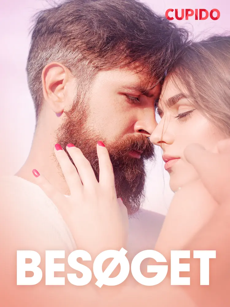 Besøget - erotiske noveller af Cupido