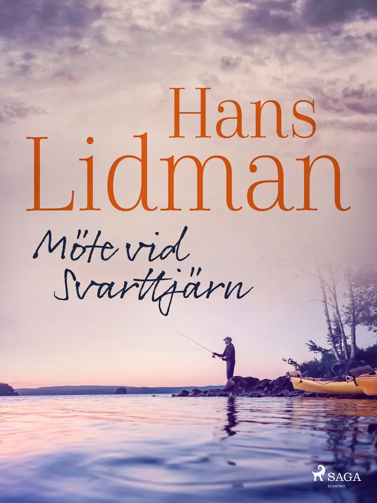 Möte vid Svarttjärn af Hans Lidman