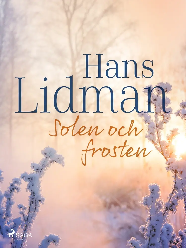Solen och frosten af Hans Lidman