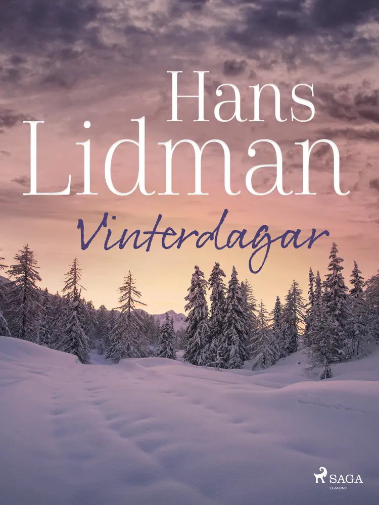 Vinterdagar af Hans Lidman