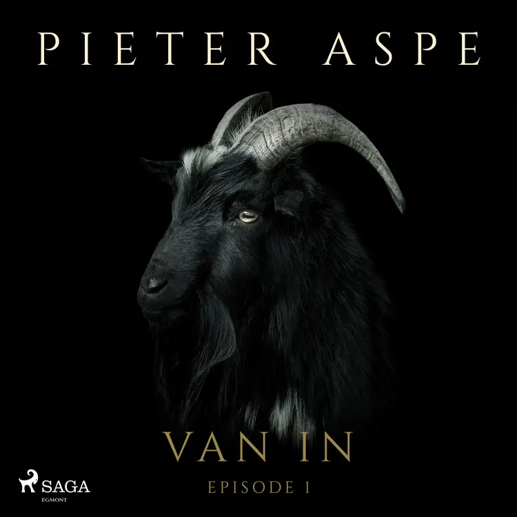 Van In af Pieter Aspe