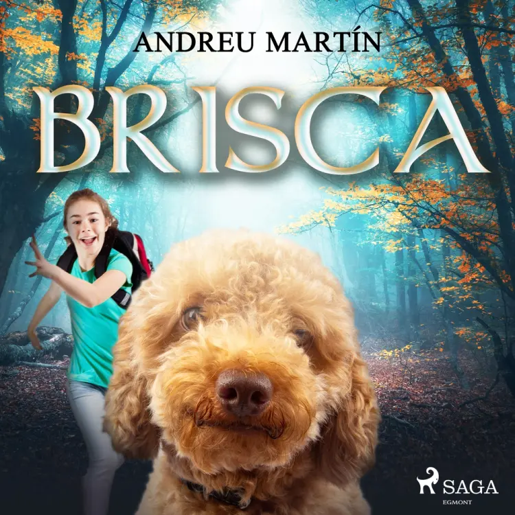 Brisca af Andreu Martín