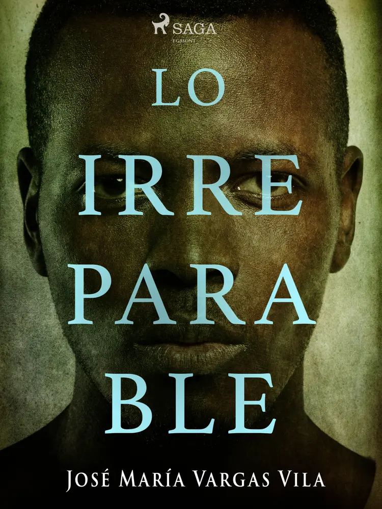 Lo irreparable af José María Vargas Vilas