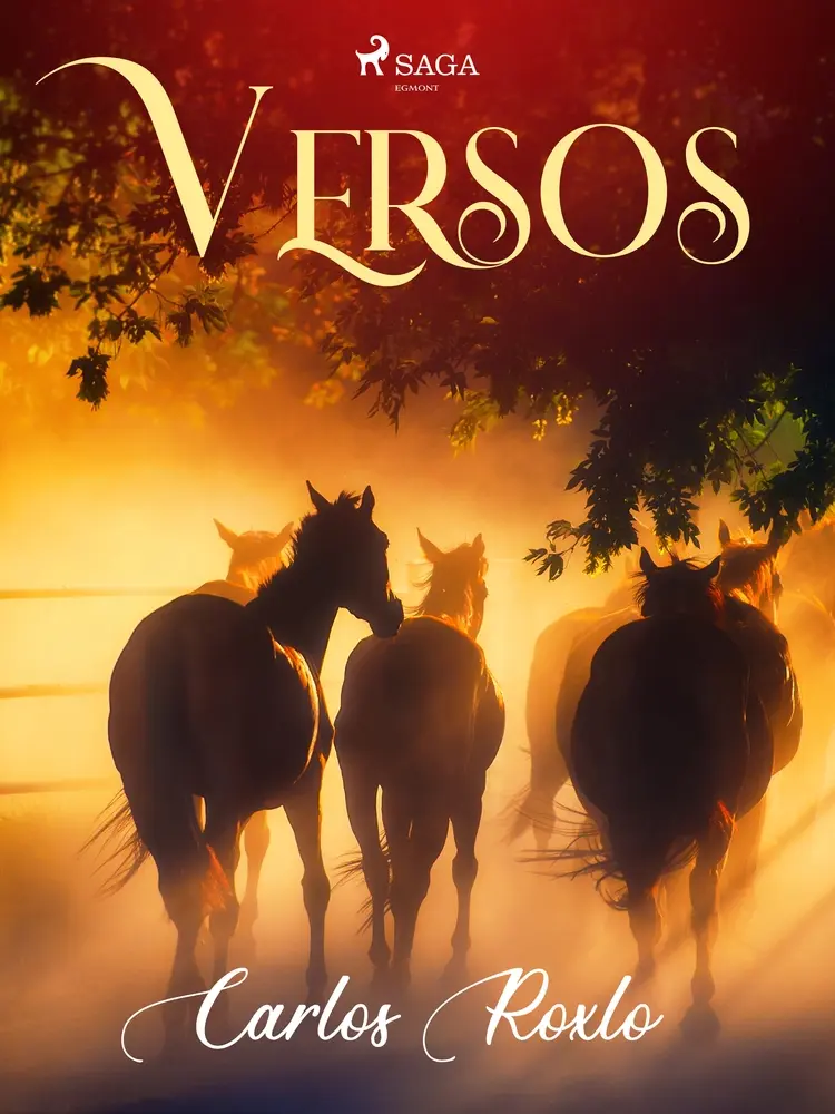 Versos af Carlos Roxlo