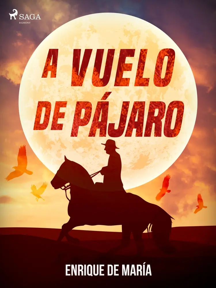 A vuelo de pájaro af Enrique De María