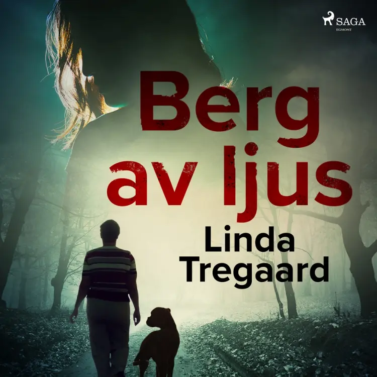 Berg av ljus af Linda Tregaard