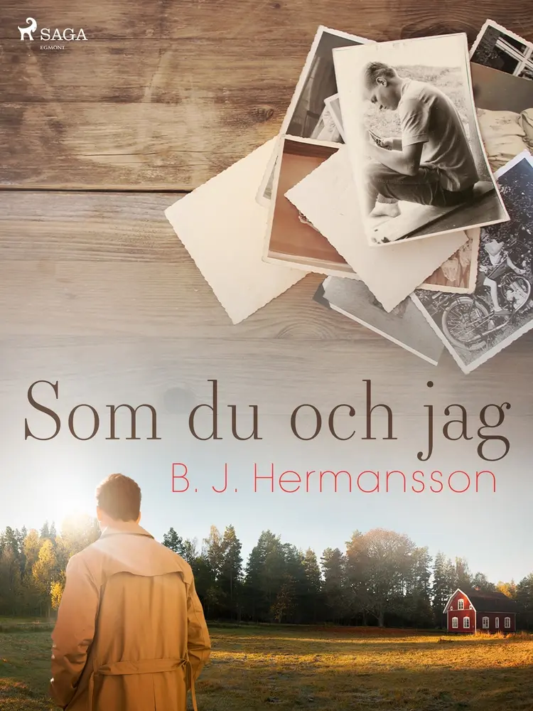 Som du och jag af B. J. Hermansson