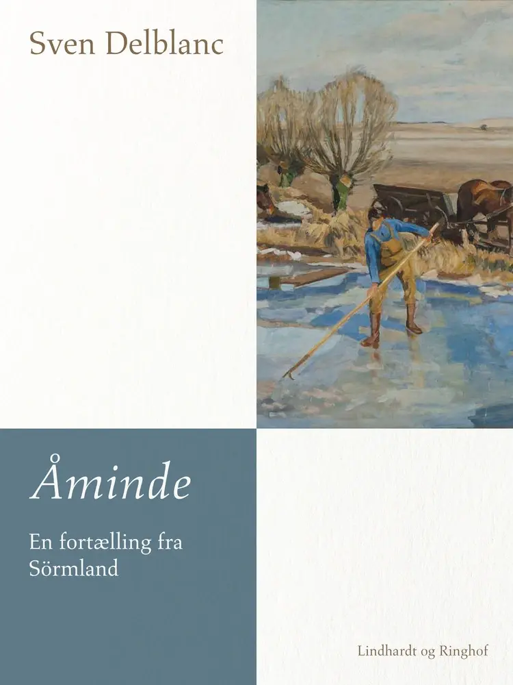 Åminde - en fortælling fra Sörmland af Sven Delblanc