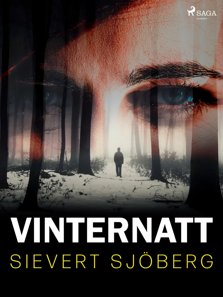 Vinternatt af Sievert Sjöberg