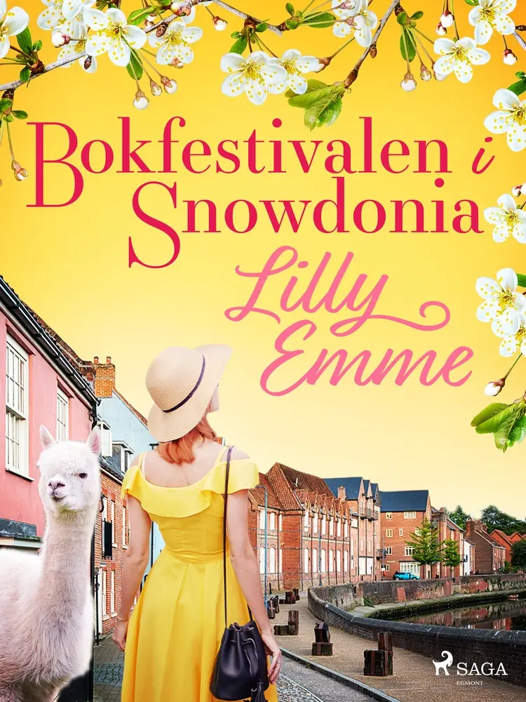 Bokfestivalen i Snowdonia af Lilly Emme