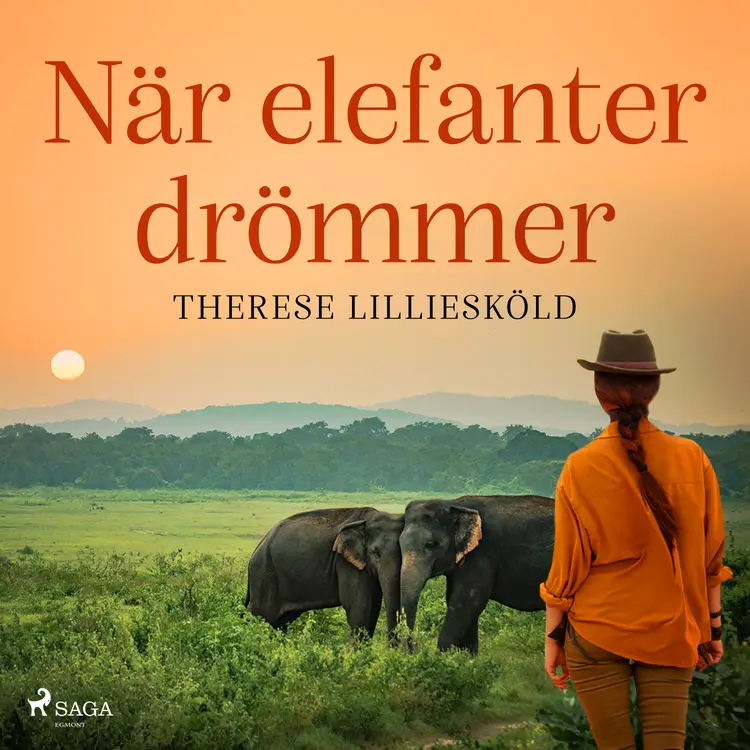 När elefanter drömmer af Therese Lilliesköld