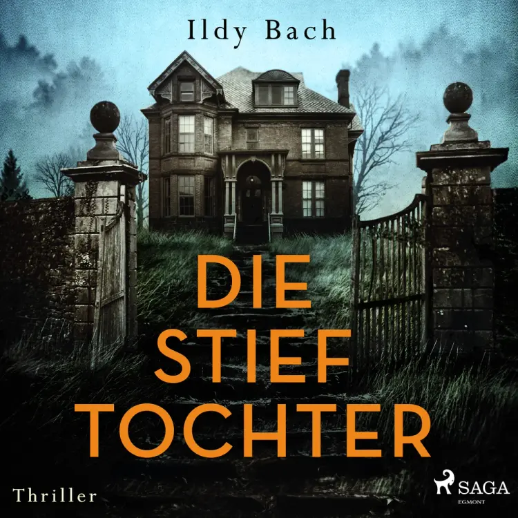 Die Stieftochter af Ildy Bach