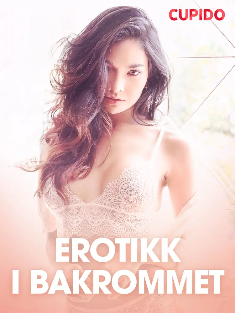 Erotikk i bakrommet - erotiske noveller af Cupido
