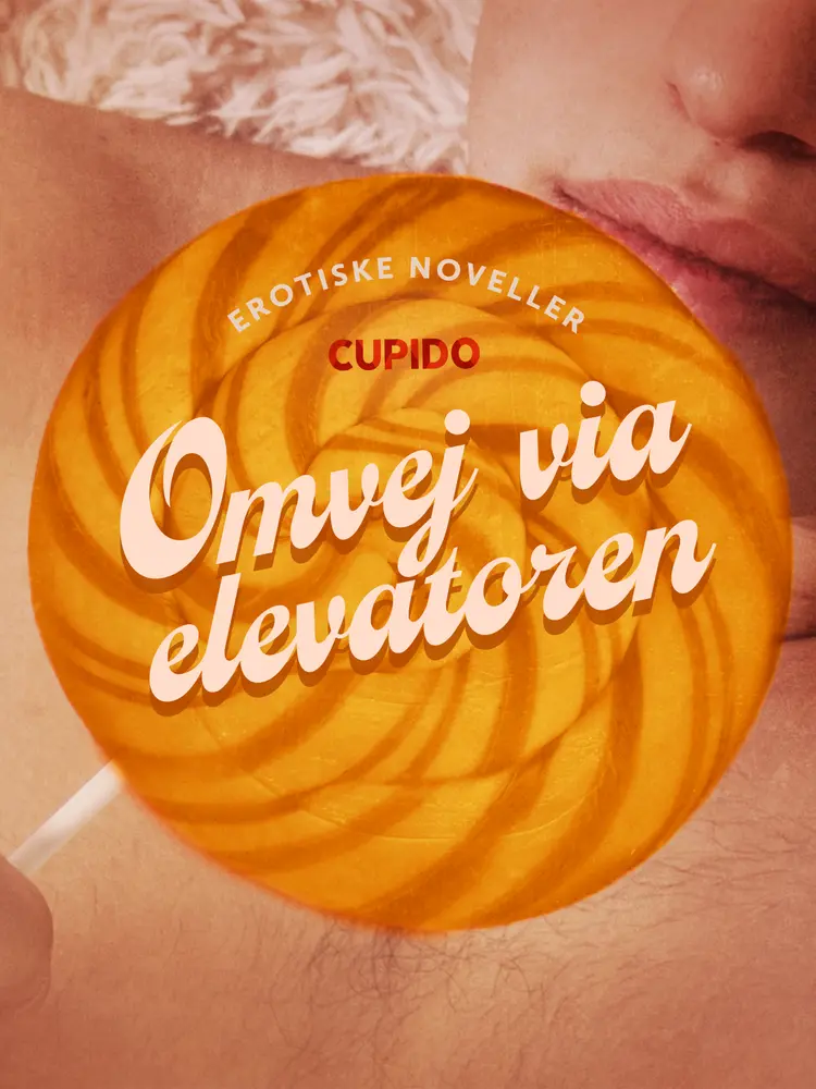 Omvej via elevatoren - erotiske noveller af Cupido