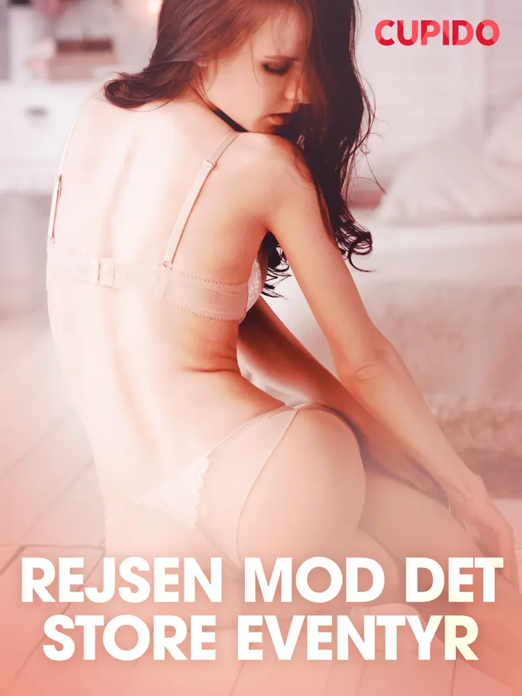 Rejsen mod det store eventyr - erotiske noveller af Cupido