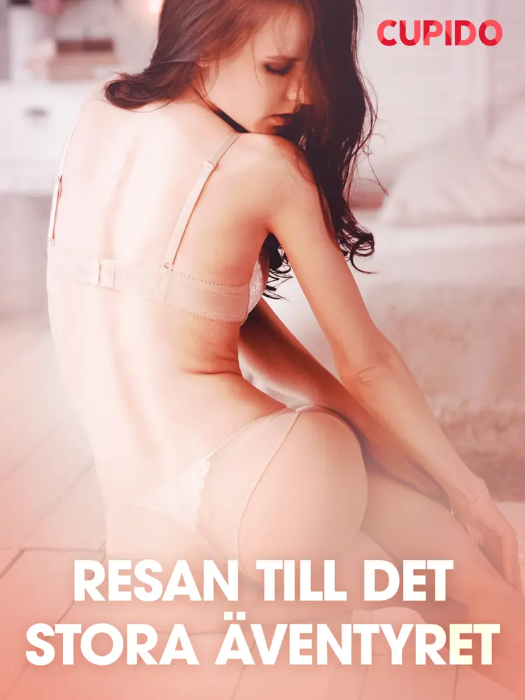 Resan till det stora äventyret - erotiska noveller af Cupido