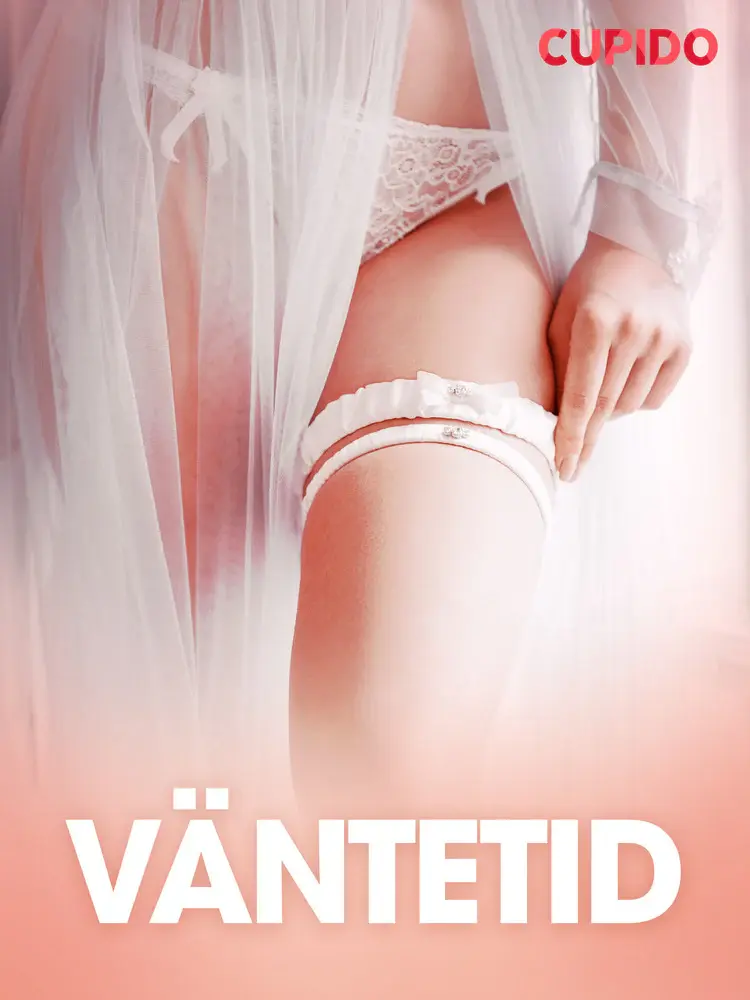 Väntetid - erotiska noveller af Cupido