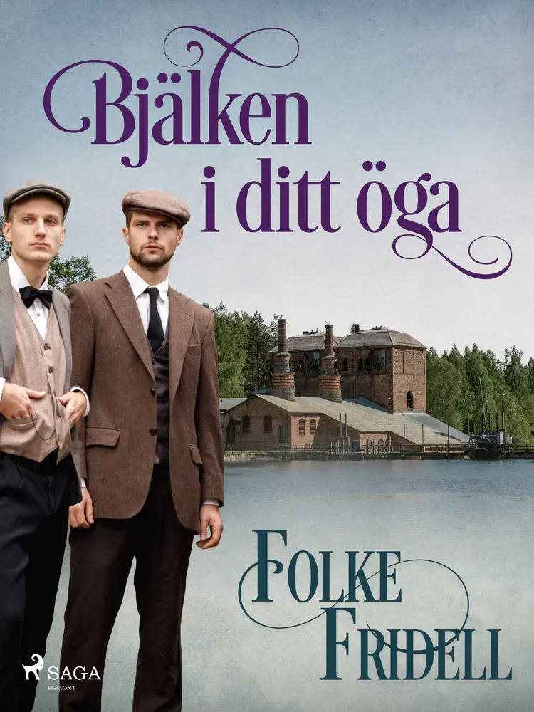 Bjälken i ditt öga af Folke Fridell