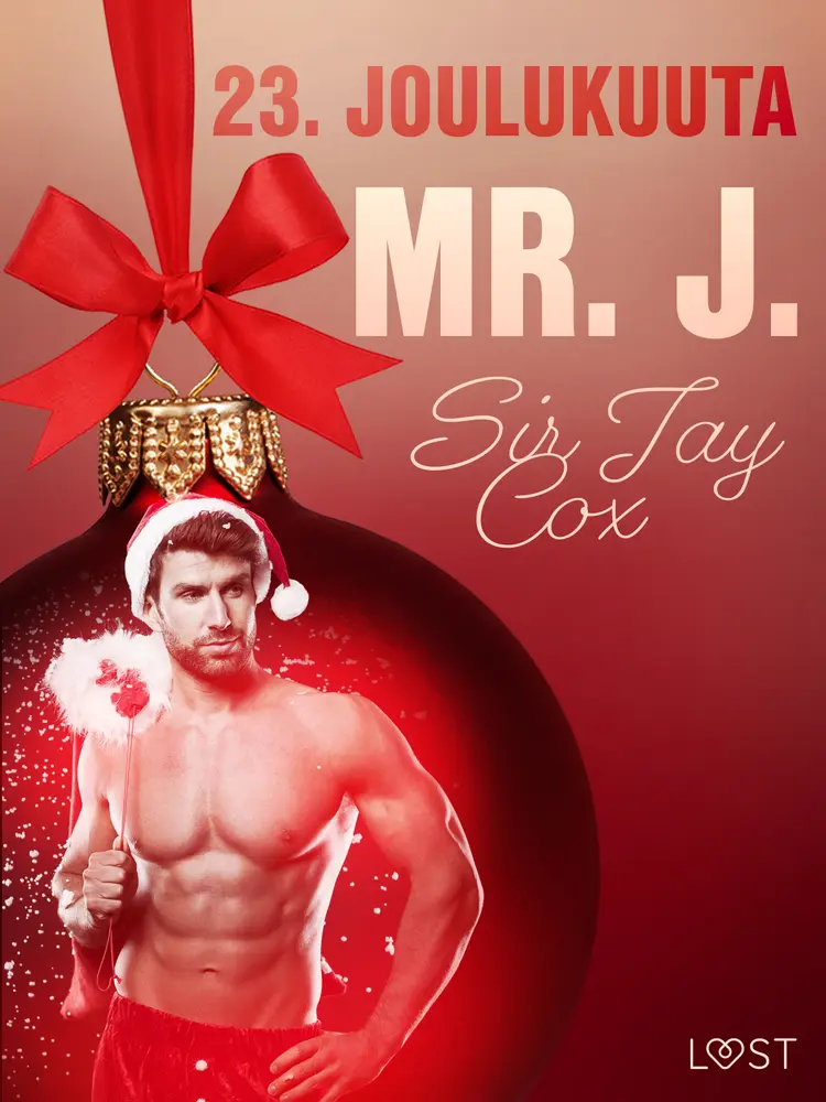 Mr. J. - eroottinen joulukalenteri af Sir Jay Cox