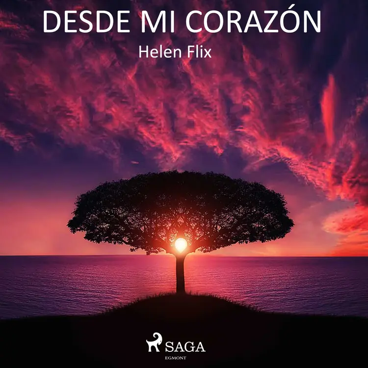 Desde mi corazón af Helen Flix