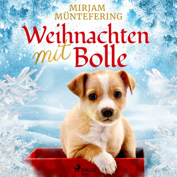 Weihnachten mit Bolle af Mirjam Müntefering