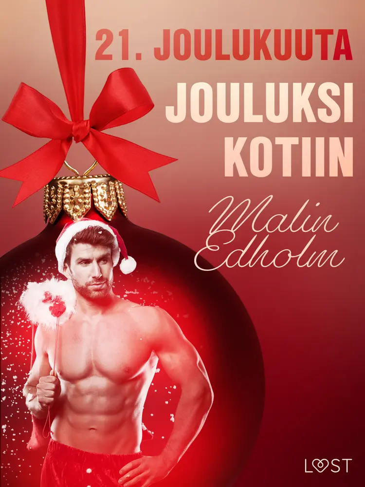 Jouluksi kotiin - eroottinen joulukalenteri af Malin Edholm