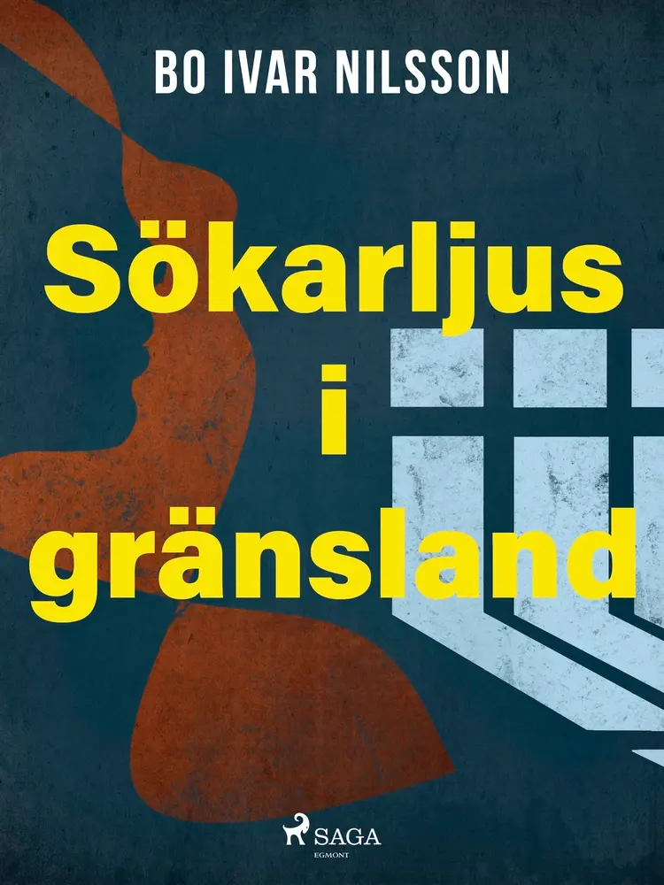 Sökarljus i gränsland af Bo Ivar Nilsson