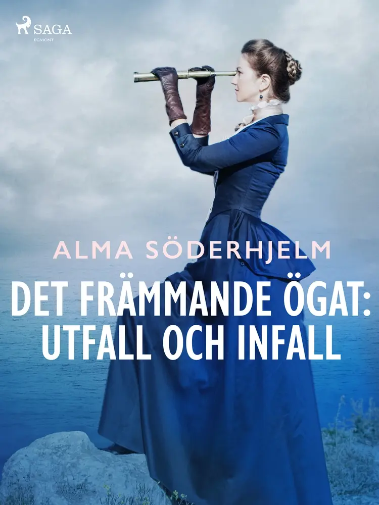 Det främmande ögat: utfall och infall af Alma Söderhjelm