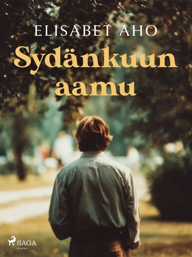 Sydänkuun aamu af Elisabet Aho