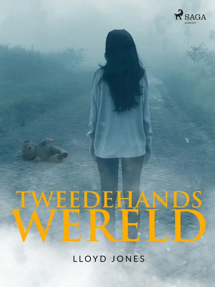 Tweedehands wereld af Lloyd Jones