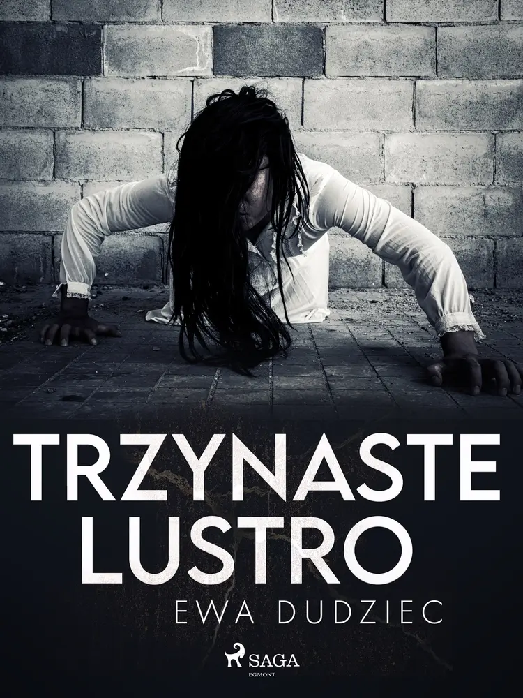 Trzynaste lustro af Ewa Dudziec