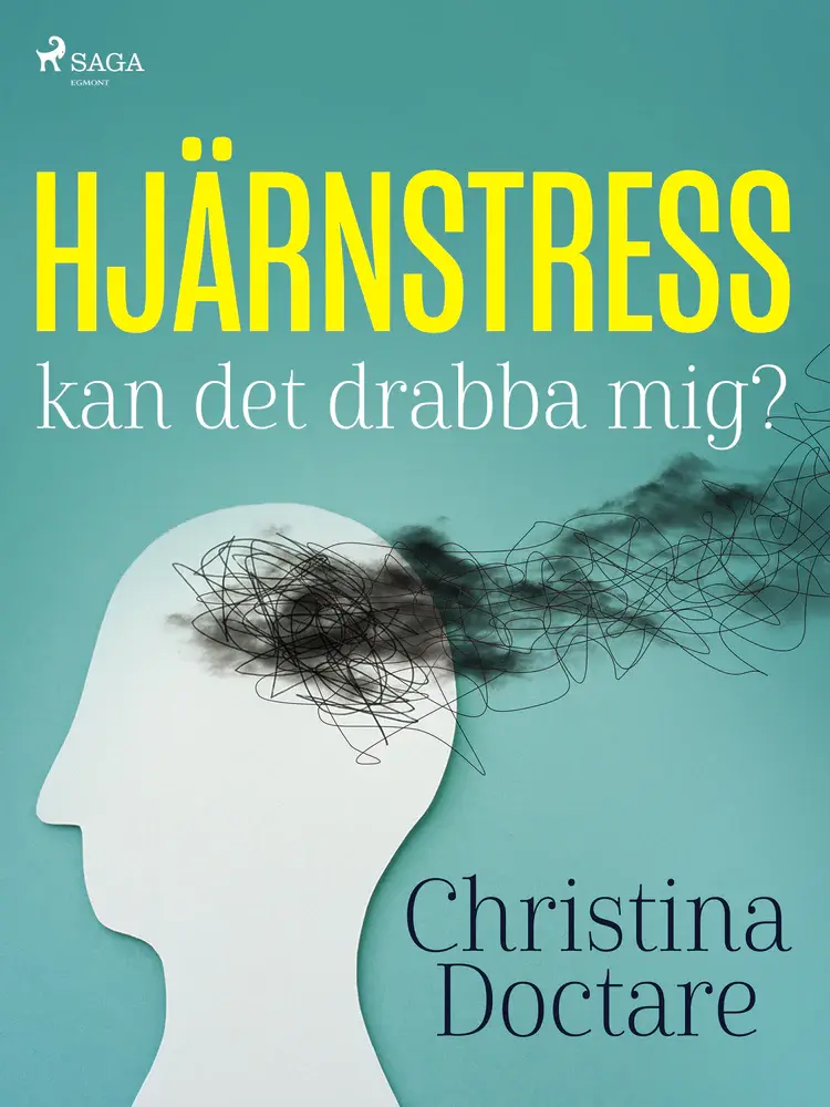 Hjärnstress: kan det drabba mig? af Christina Doctare