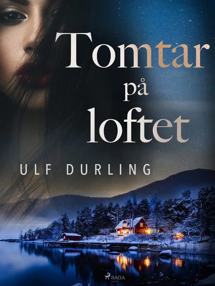 Tomtar på loftet af Ulf Durling