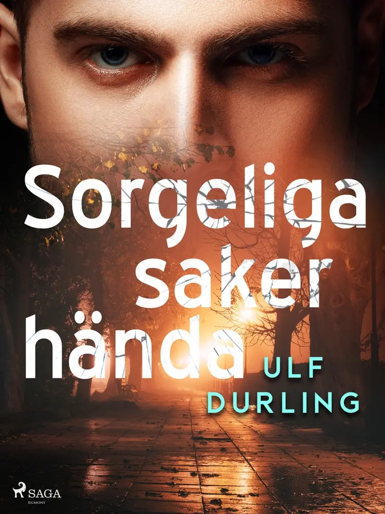 Sorgeliga saker hända af Ulf Durling