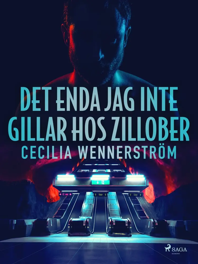 Det enda jag inte gillar hos zillober af Cecilia Wennerström