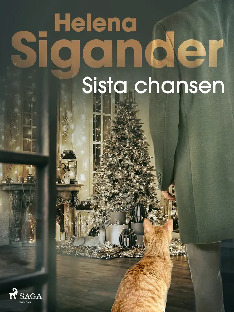 Sista chansen af Helena Sigander