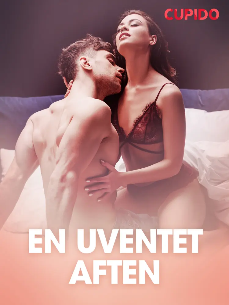 En uventet aften - erotiske noveller af Cupido