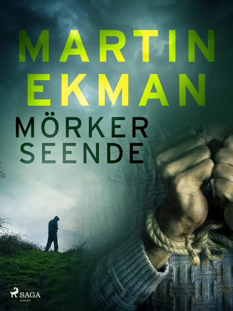 Mörkerseende af Martin Ekman
