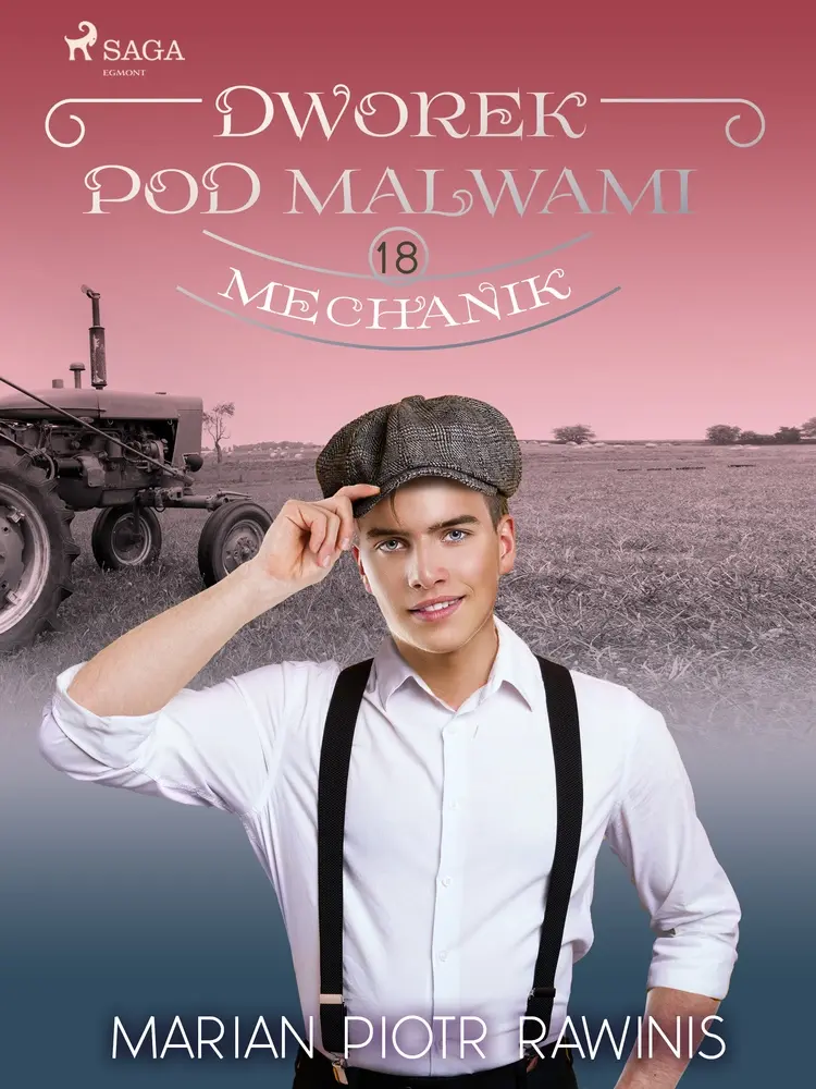 Mechanik af Marian Piotr Rawinis
