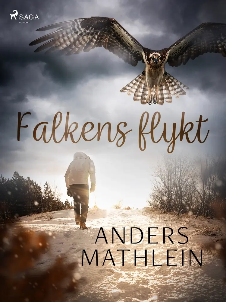 Falkens flykt af Anders Mathlein