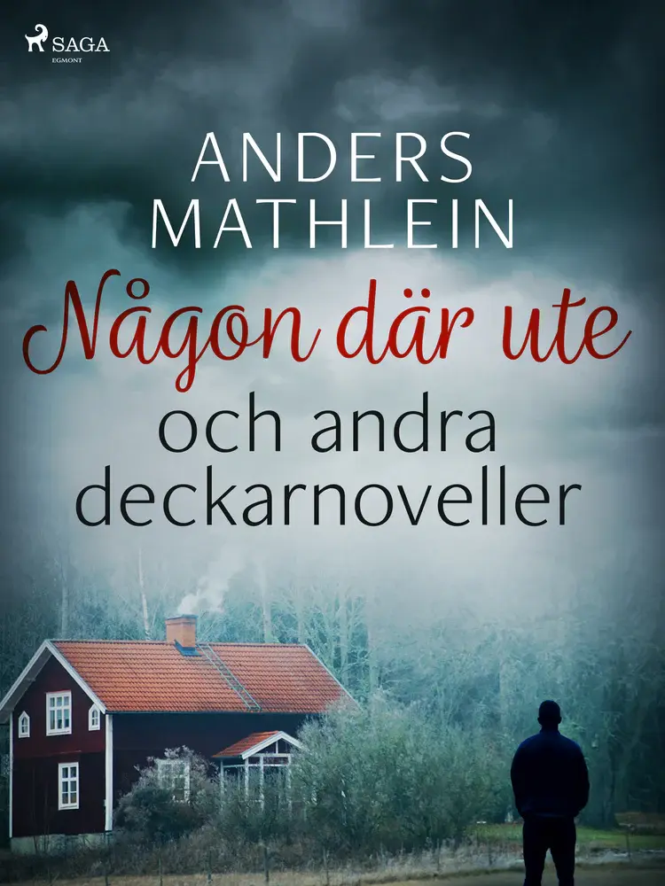 Någon där ute och andra deckarnoveller af Anders Mathlein