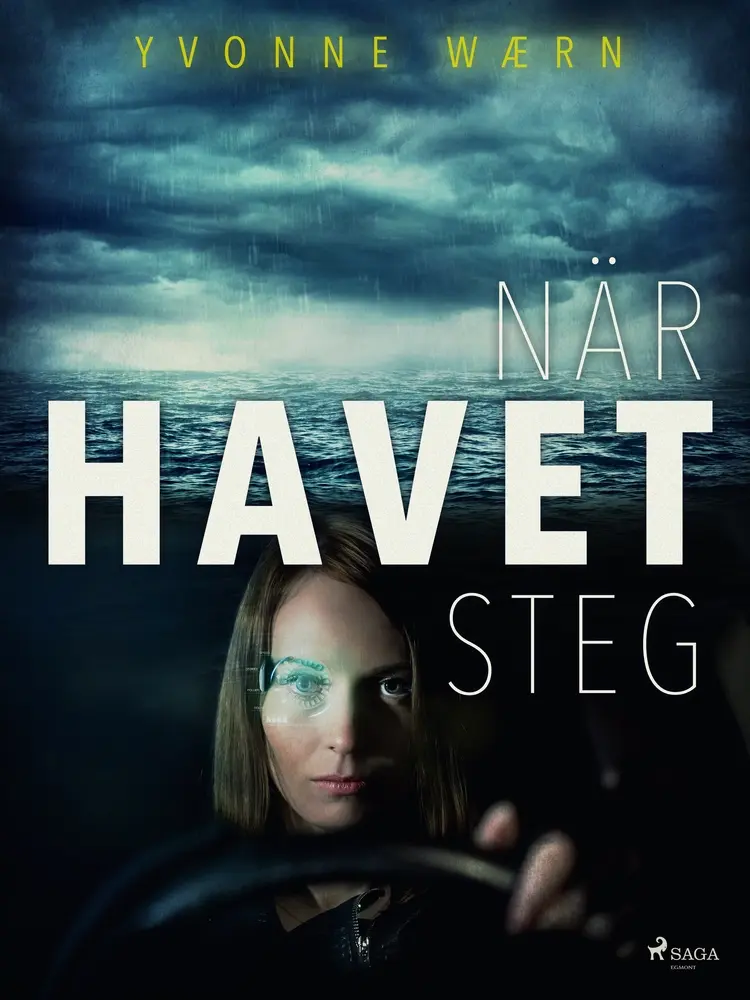 När havet steg af Yvonne Wærn