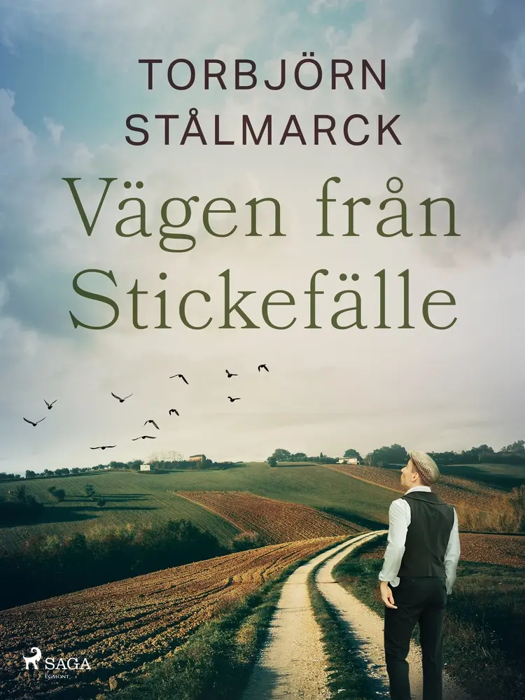 Vägen från Stickefälle af Torbjörn Stålmarck