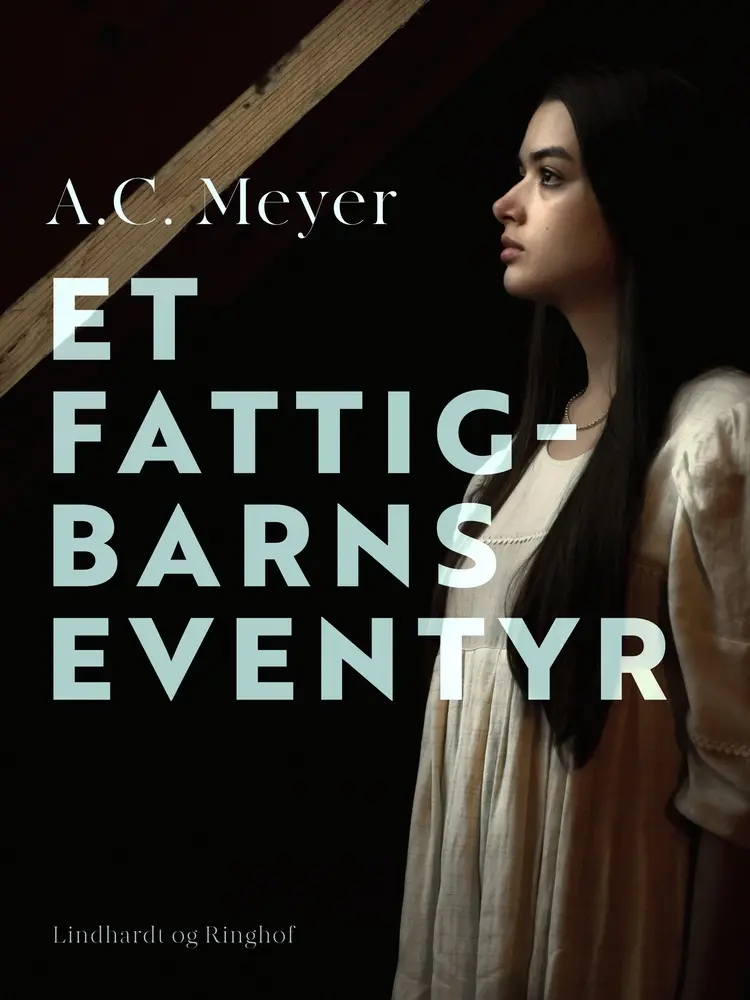 Et fattigbarns eventyr af A.C. Meyer