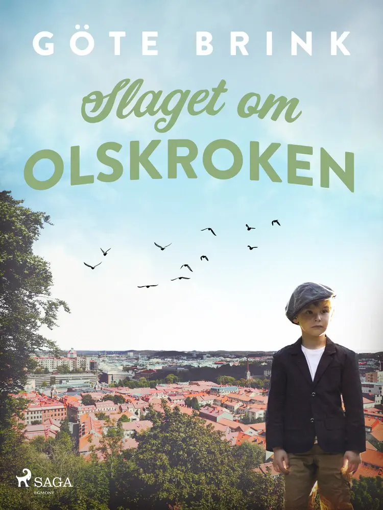 Slaget om Olskroken af Göte Brink