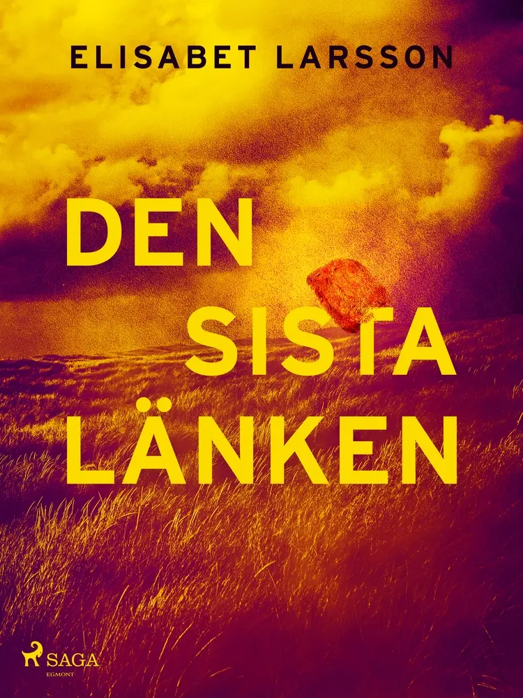 Den sista länken af Elisabet Larsson