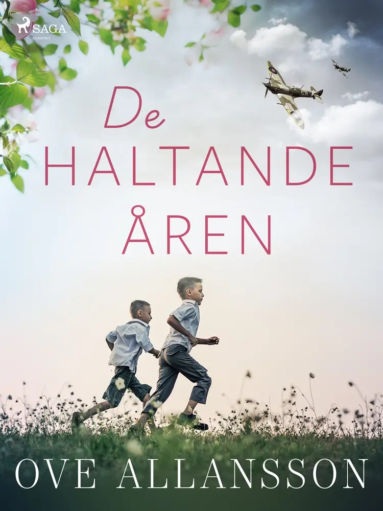 De haltande åren af Ove Allansson