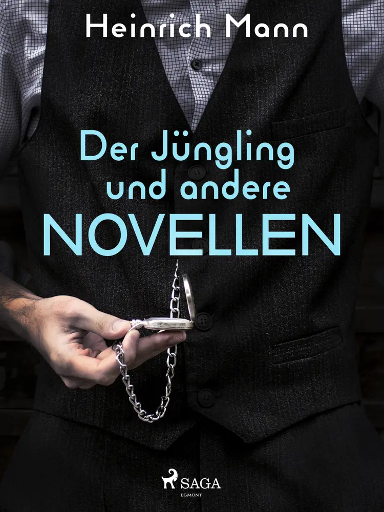 Der Jüngling und andere Novellen af Heinrich Mann